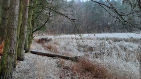 Tajemnicze jezioro Biskupice Prawe - zdjęcie 11