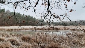 Tajemnicze jezioro Biskupice Prawe - zdjęcie 13