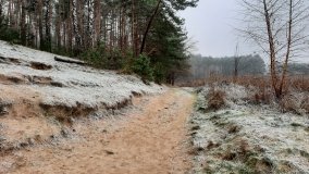Tajemnicze jezioro Biskupice Prawe - zdjęcie 14