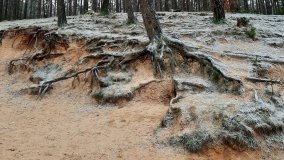 Tajemnicze jezioro Biskupice Prawe - zdjęcie 16