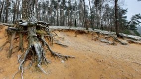 Tajemnicze jezioro Biskupice Prawe - zdjęcie 17