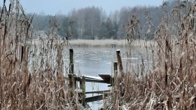 Tajemnicze jezioro Biskupice Prawe - zdjęcie 18