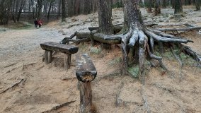 Tajemnicze jezioro Biskupice Prawe - zdjęcie 19