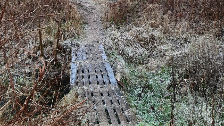 Jezioro Biskupice Lewe, czyli w Dolinie Cybiny - zdjęcie 1