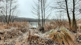Jezioro Biskupice Lewe, czyli w Dolinie Cybiny - zdjęcie 3