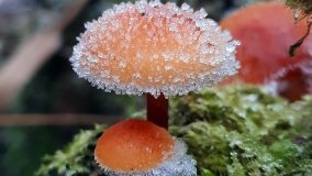 Jezioro Biskupice Lewe, czyli w Dolinie Cybiny - zdjęcie 5