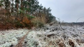 Jezioro Biskupice Lewe, czyli w Dolinie Cybiny - zdjęcie 7
