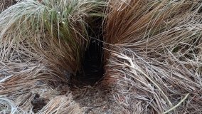 Jezioro Biskupice Lewe, czyli w Dolinie Cybiny - zdjęcie 8