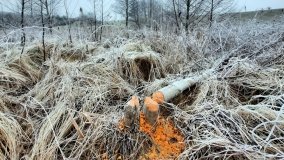 Jezioro Biskupice Lewe, czyli w Dolinie Cybiny - zdjęcie 9