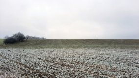 Jezioro Biskupice Lewe, czyli w Dolinie Cybiny - zdjęcie 10