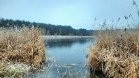 Jezioro Biskupice Lewe, czyli w Dolinie Cybiny - zdjęcie 11