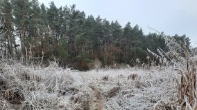 Jezioro Biskupice Lewe, czyli w Dolinie Cybiny - zdjęcie 12