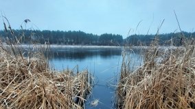 Jezioro Biskupice Lewe, czyli w Dolinie Cybiny - zdjęcie 15