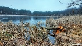 Jezioro Biskupice Lewe, czyli w Dolinie Cybiny - zdjęcie 16