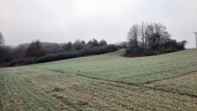 Jezioro Biskupice Lewe, czyli w Dolinie Cybiny - zdjęcie 17