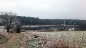 Jezioro Biskupice Lewe, czyli w Dolinie Cybiny - zdjęcie 19