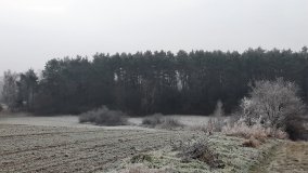 Jezioro Biskupice Lewe, czyli w Dolinie Cybiny - zdjęcie 20