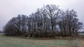 Jezioro Biskupice Lewe, czyli w Dolinie Cybiny - zdjęcie 21