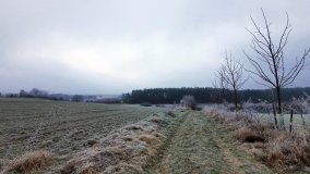 Jezioro Biskupice Lewe, czyli w Dolinie Cybiny - zdjęcie 22