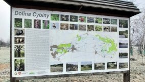 Jezioro Biskupice Lewe, czyli w Dolinie Cybiny - zdjęcie 23