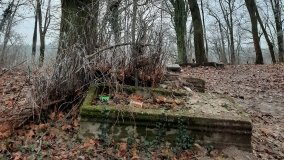 Jezioro Biskupice Lewe, czyli w Dolinie Cybiny - zdjęcie 24