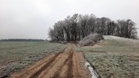 Jezioro Biskupice Lewe, czyli w Dolinie Cybiny - zdjęcie 25