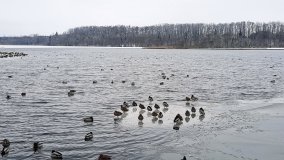 Jezioro Biezdruchowo – warto tu zajrzeć o każdej porze roku - zdjęcie 9