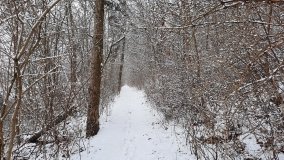 Jezioro Biezdruchowo – warto tu zajrzeć o każdej porze roku - zdjęcie 19