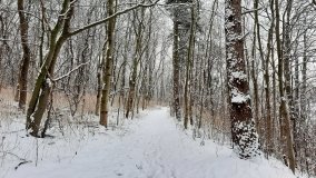 Jezioro Biezdruchowo – warto tu zajrzeć o każdej porze roku - zdjęcie 22