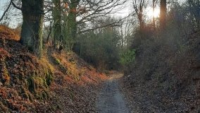 Jezioro Górskie w Dolinie Cybiny - zdjęcie 2