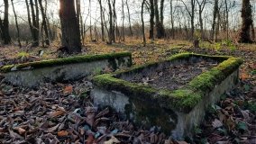 Jezioro Górskie w Dolinie Cybiny - zdjęcie 4