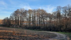 Jezioro Górskie w Dolinie Cybiny - zdjęcie 5