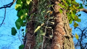 Jezioro Górskie w Dolinie Cybiny - zdjęcie 6