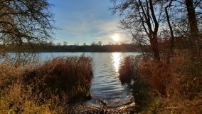 Jezioro Górskie w Dolinie Cybiny - zdjęcie 8