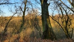 Jezioro Górskie w Dolinie Cybiny - zdjęcie 10