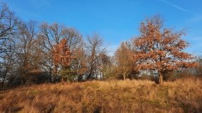 Jezioro Górskie w Dolinie Cybiny - zdjęcie 11