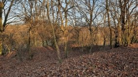 Jezioro Górskie w Dolinie Cybiny - zdjęcie 13