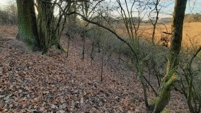 Jezioro Górskie w Dolinie Cybiny - zdjęcie 14