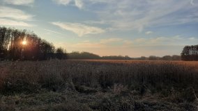 Jezioro Górskie w Dolinie Cybiny - zdjęcie 15