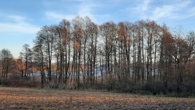 Jezioro Górskie w Dolinie Cybiny - zdjęcie 16