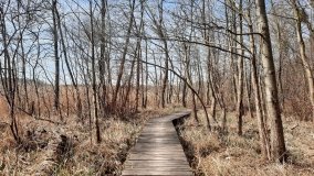 Magiczne Jezioro Karolewskie - zdjęcie 3