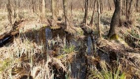 Magiczne Jezioro Karolewskie - zdjęcie 4