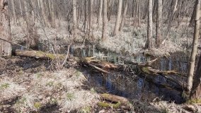 Magiczne Jezioro Karolewskie - zdjęcie 5