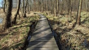 Magiczne Jezioro Karolewskie - zdjęcie 8