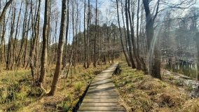 Magiczne Jezioro Karolewskie - zdjęcie 16