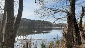 Magiczne Jezioro Karolewskie - zdjęcie 17