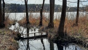 Magiczne Jezioro Karolewskie - zdjęcie 18