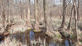 Magiczne Jezioro Karolewskie - zdjęcie 19