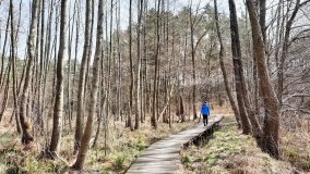 Magiczne Jezioro Karolewskie - zdjęcie 21