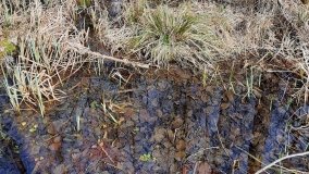 Magiczne Jezioro Karolewskie - zdjęcie 22